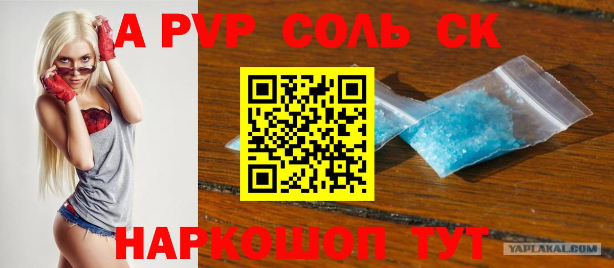 A PVP СК КРИС Волгоград