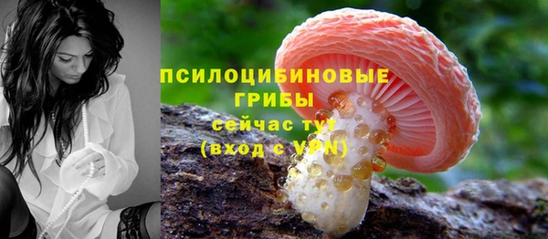 ALPHA PVP Алексин