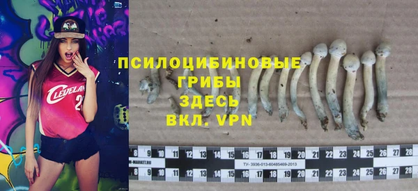 ALPHA PVP Алексин