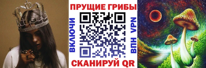 даркнет сайт Волгоград Псилоцибиновые грибы Psilocybe