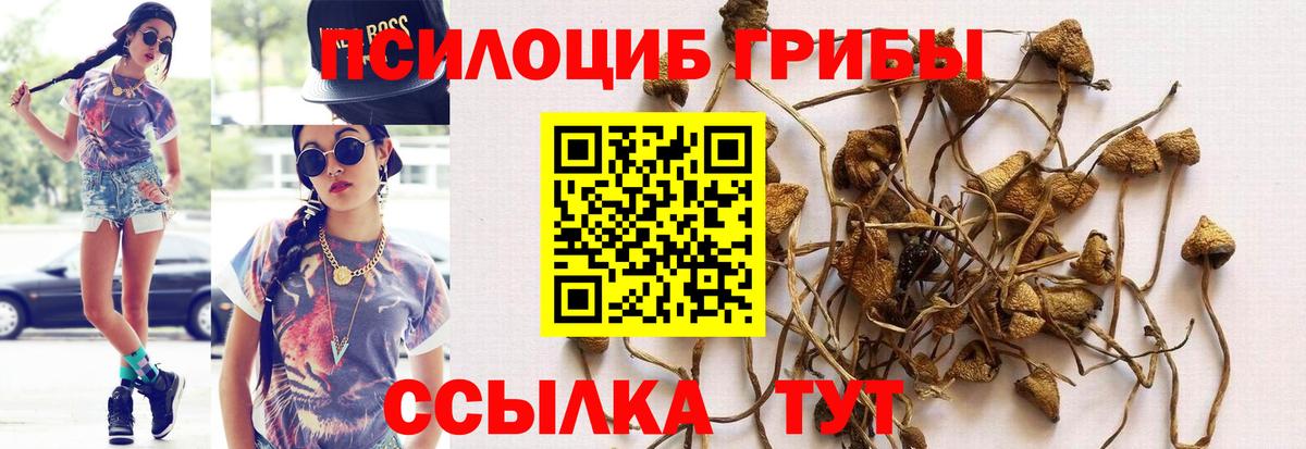 Псилоцибиновые грибы мухоморы Волгоград